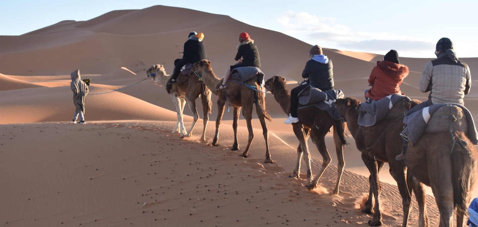 A line of riders on camels crossing the dunes of the Sahara behind a guide